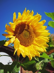 EB42FA0E-41FA-4475-BFD0-238776F792CB/L0/001