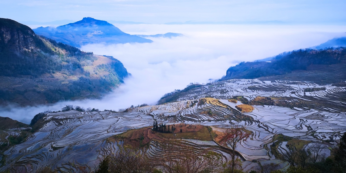 哈尼梯田晨雾 - 创作者150214036952162 - 图虫