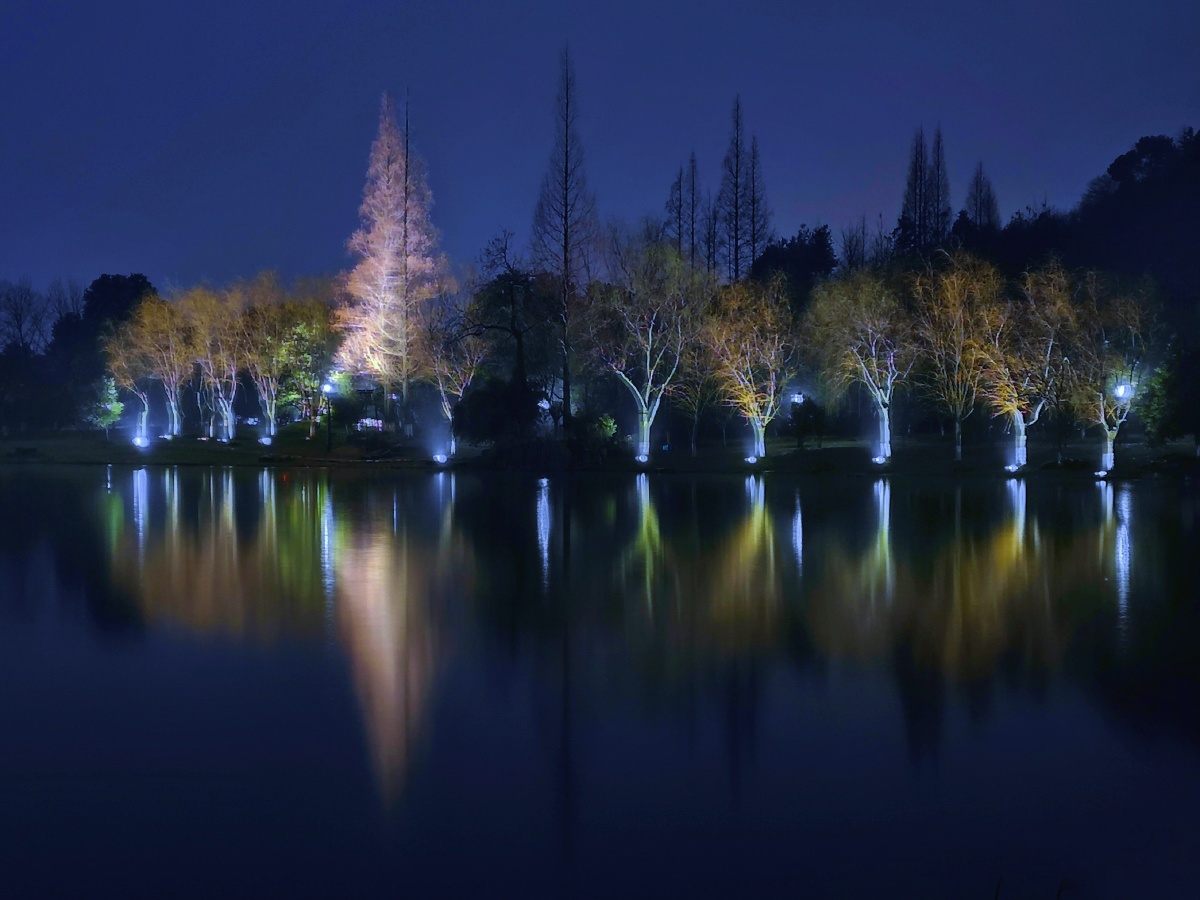 湘湖夜景 - 创作者150214036952162 - 图虫