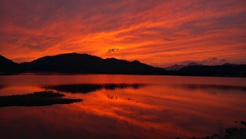 DSC05621-01
