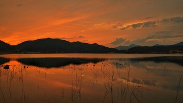 DSC05604-01