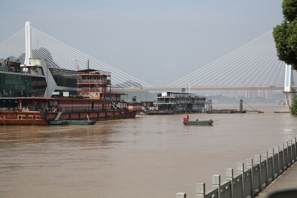 8月24日宜昌城区长江段超警戒水位05米过境流量49000立方米秒