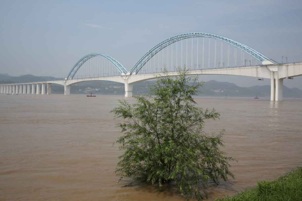8月24日宜昌城区长江段超警戒水位05米过境流量49000立方米秒