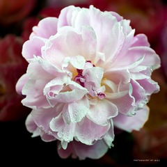 301C03AB-9FB3-477F-8488-1CEC11A9F8B1/L0/001