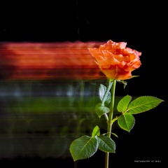 7D37495E-2B20-4E2D-93D3-9DA681D9BEA5/L0/001