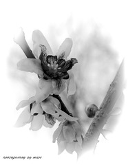 15A1176D-AA30-4D02-9A9C-65652BA953EC/L0/001