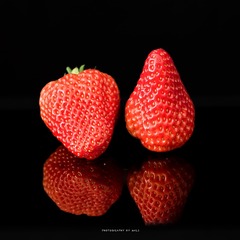 C8B023F2-E378-4688-BA67-81B3DAF733E1/L0/001