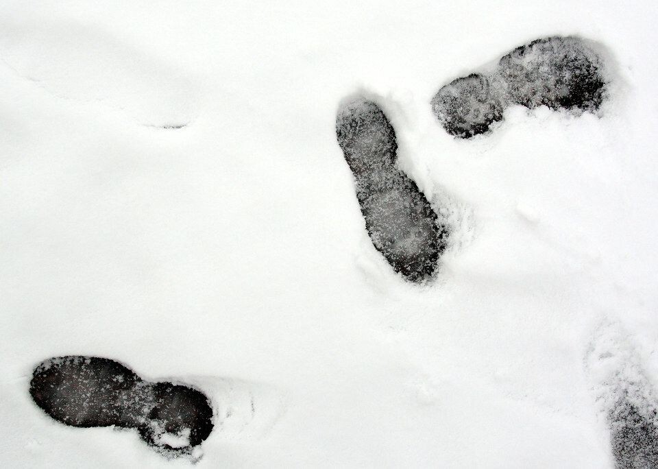 雪中舞<br />
