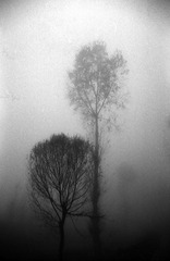 IMG_0054.jpg
