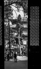 WP_20140411_09_45_25_Pro