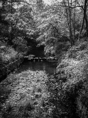 WP_20140411_10_59_46_Pro