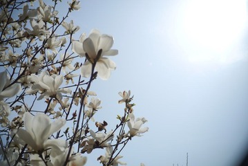 P1000138.JPG