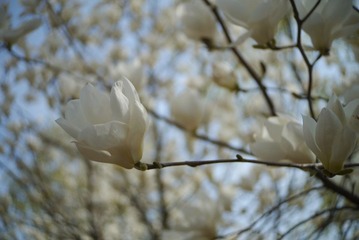 P1000144.JPG