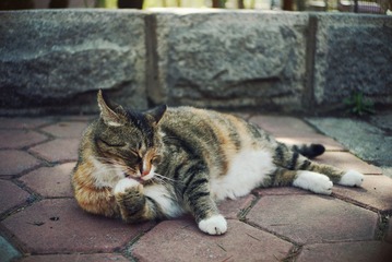 p1000175_副本.jpg