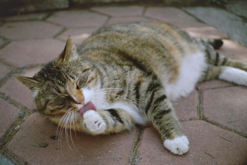 p1000177_副本.jpg