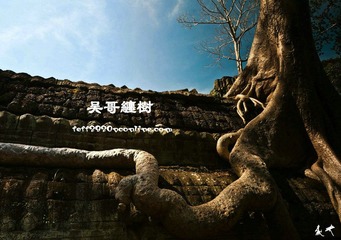 IMG_0798_副本.jpg