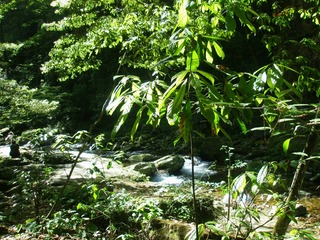 0724DA40-FB25-4F0C-8A45-8F01A5A4CC58/L0/001