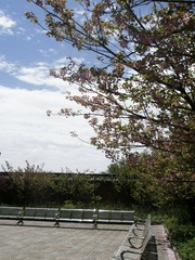 31B9DC4D-B803-4CE3-9313-1F61397FC016/L0/001