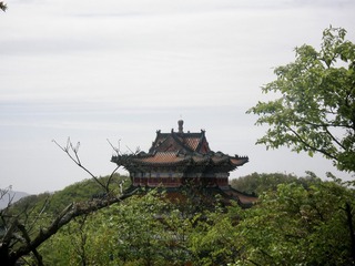 80DA3821-752C-4B32-BA43-B45AA135160E/L0/001