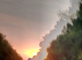 585