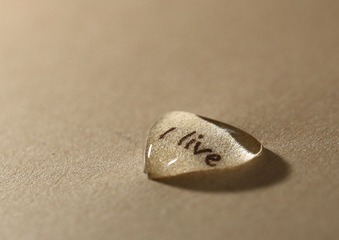 1L0B8863.JPG