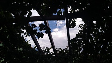 9250