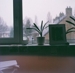36790012.JPG