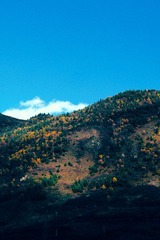 DSC_2208.jpg