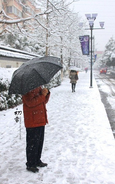 "咔啪投稿"等待 br /> 2011年一场大雪,苏州一夜变白.