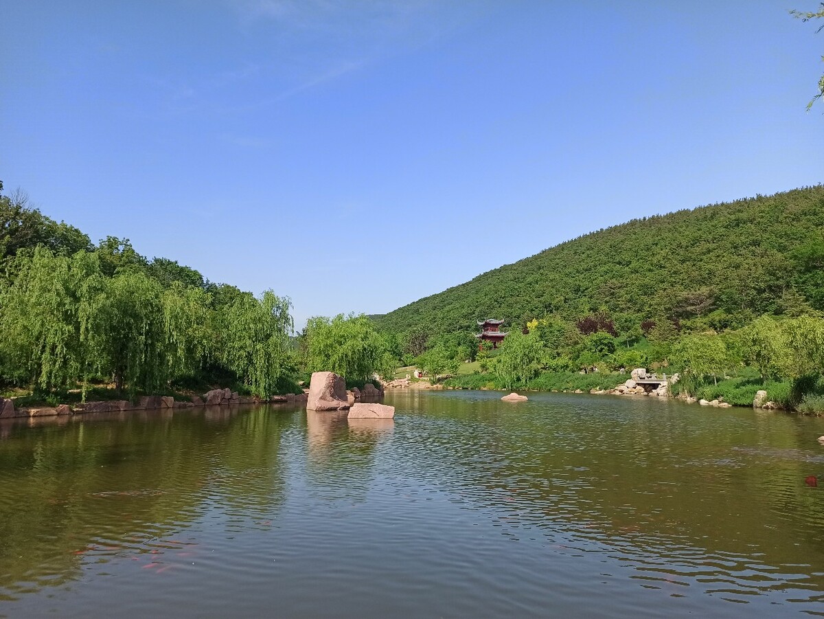 大连横山寺公园图片