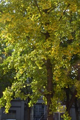 5E50A624-11D2-42EE-A774-2D6BA05D9015/L0/001
