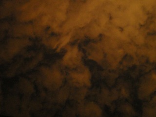 IMGP5942.JPG
