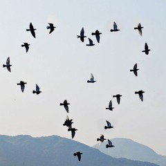 随拍。
