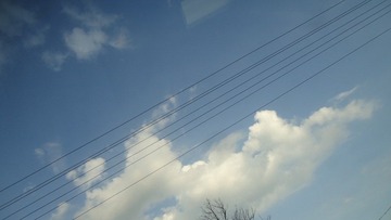 DSC03428.JPG