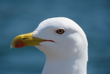 41044