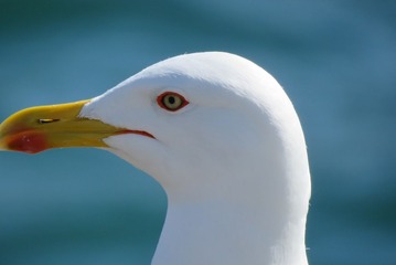 41043
