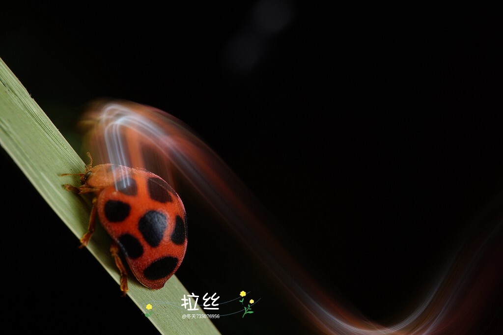 最美拉丝 - 北京冬天 - 图虫网 - 最好的摄影师都