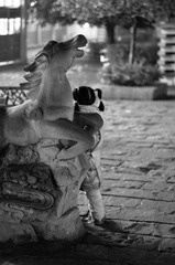 20120112-IMGP0766.jpg
