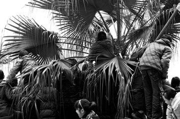 20120206-IMGP1764.jpg