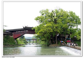 IMGP2053.jpg