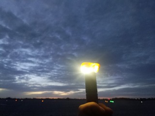 717