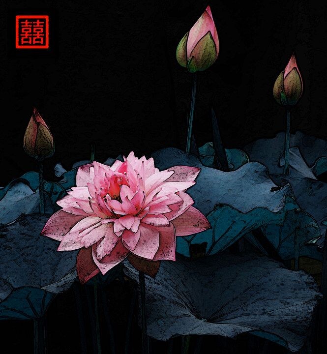 Lotus<br />
© Dingxt