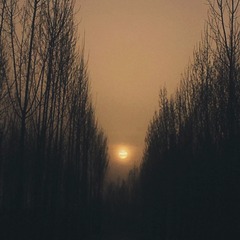 9C8296AE-115A-40E5-AE36-8F281FF4BBD5/L0/001