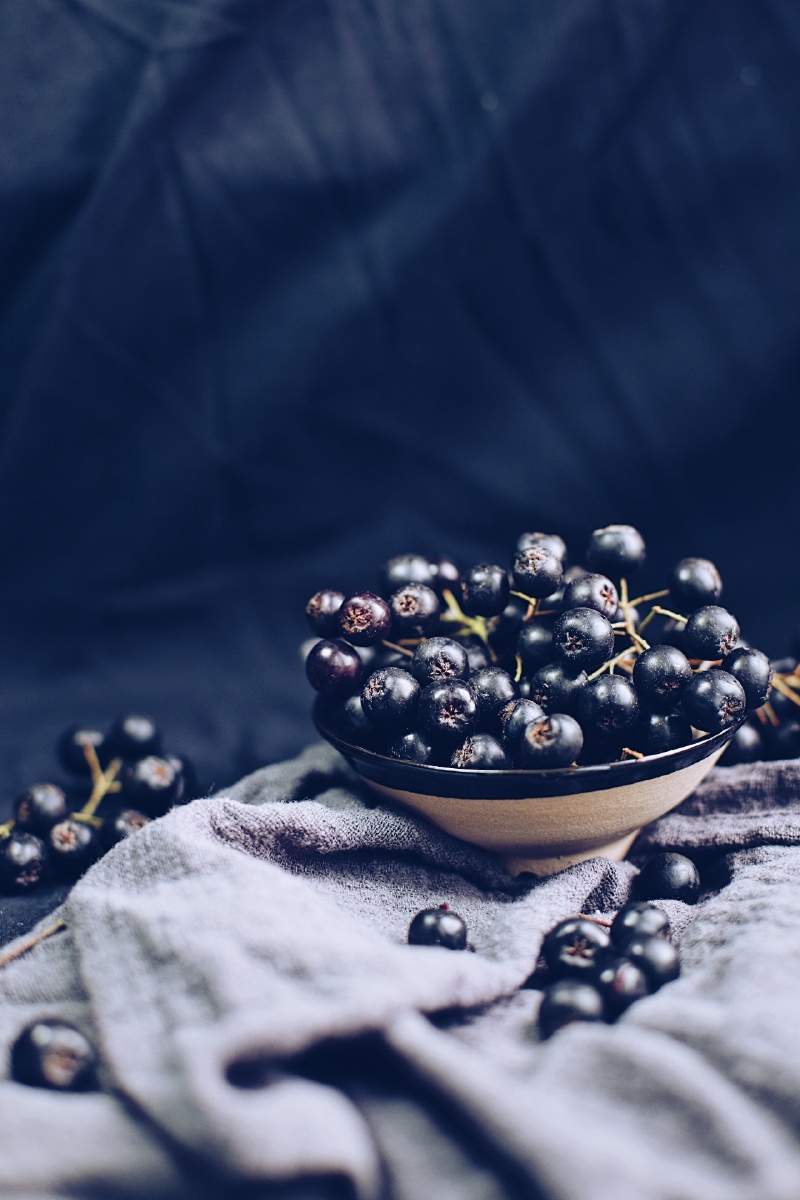 黑果花楸/不老莓实拍 - 幻想家9527 - 图虫