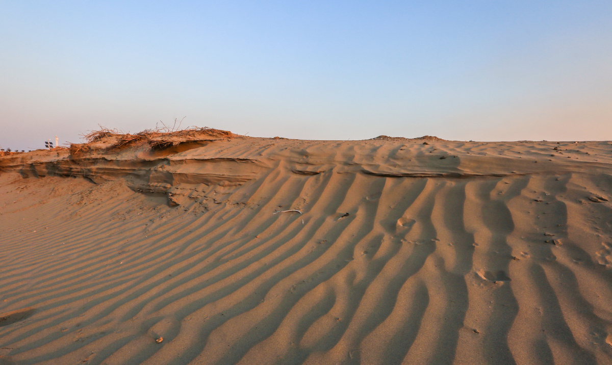 冬季来到铁黄沙