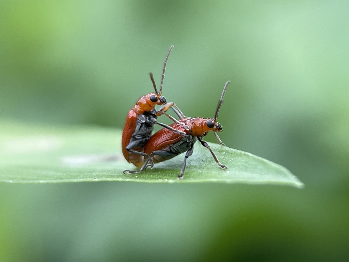 黄守瓜?干正事90 - 摄世未深cty - 图虫