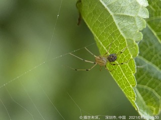 42B93AD4-2DFC-4794-A00B-2BC68F9E68BF/L0/001