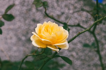59DCF3B2-92D3-41FF-8E64-2D624DD6D5FA/L0/001