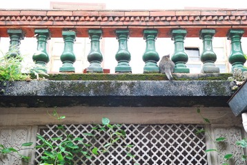 DSC_5405.JPG