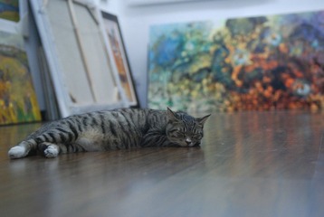 DSC_3104.JPG
